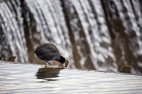 20201229-1Y5A1500.jpg