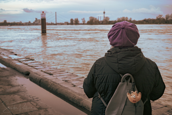 20210204 Hochwasser Rhein (c) photo67.de #0023_2048.jpg