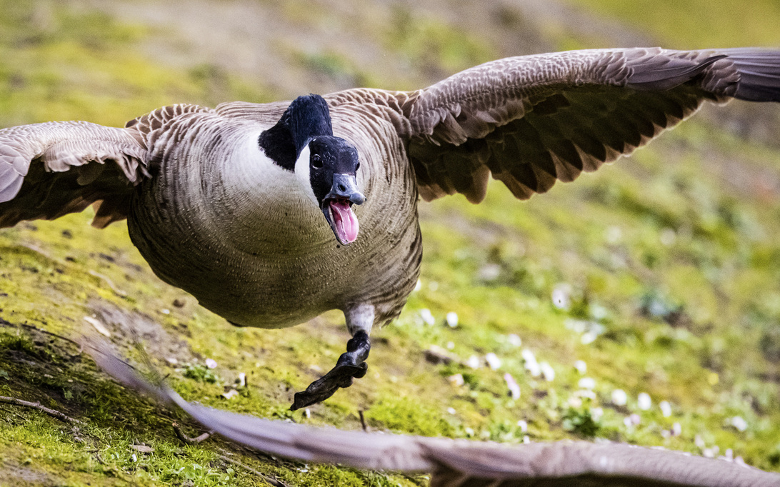 20210417 Im Park (c) photo67.de #0068+_2048.jpg