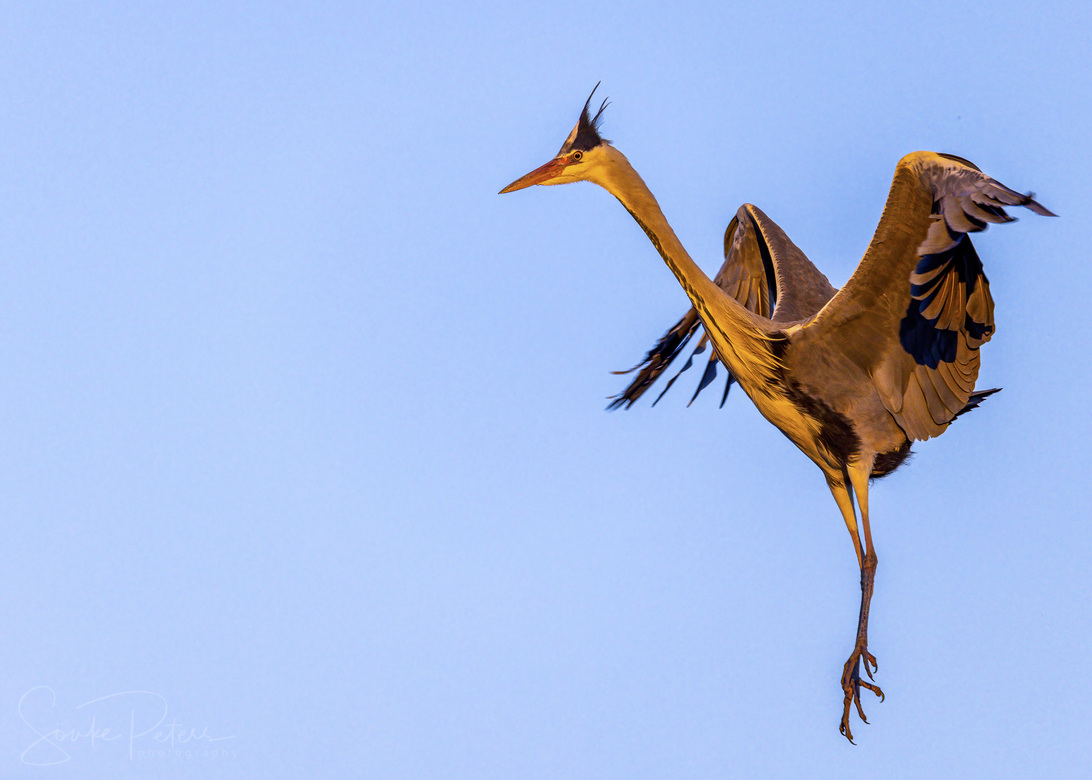 20210301 Ostpark (c) photo67.de #1013+_2048-2.jpg