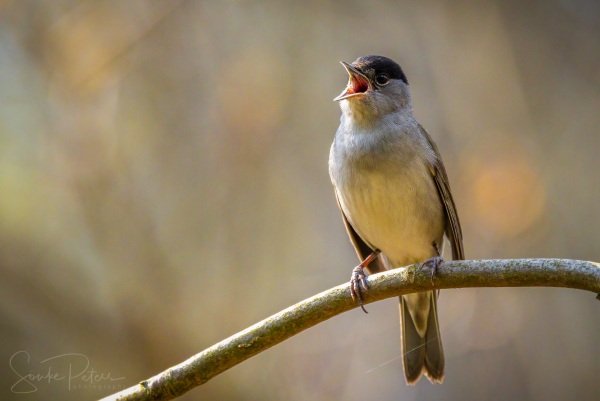 20210417 Im Park (c) photo67.de #0036+_2048.jpg