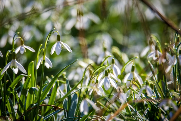 20210228 Wanderung Schwarzbachtal (c) photo67.de #0076_2048.jpg
