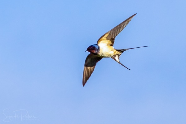 20210514 Abendtour Richtung Erkrath (c) photo67.de #0103+_2048 - Kopie.jpg