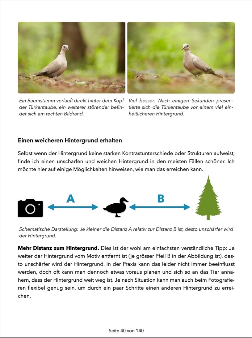 Bildschirmfoto 2022-02-06 um 11.52.18.jpg