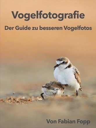 E-Book - Vogelfotografie