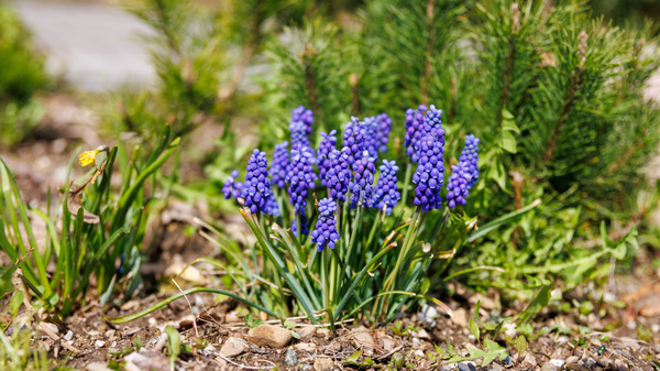 Frühling 22 in Seeon-16 - Kopie.jpg