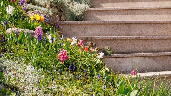 Frühling 22 in Seeon-60 - Kopie.jpg