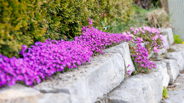 Frühling 22 in Seeon-57.jpg