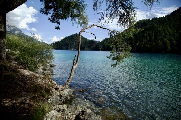 CC9F2BCE-7C0F-47EA-99FB-963F9BC796E3