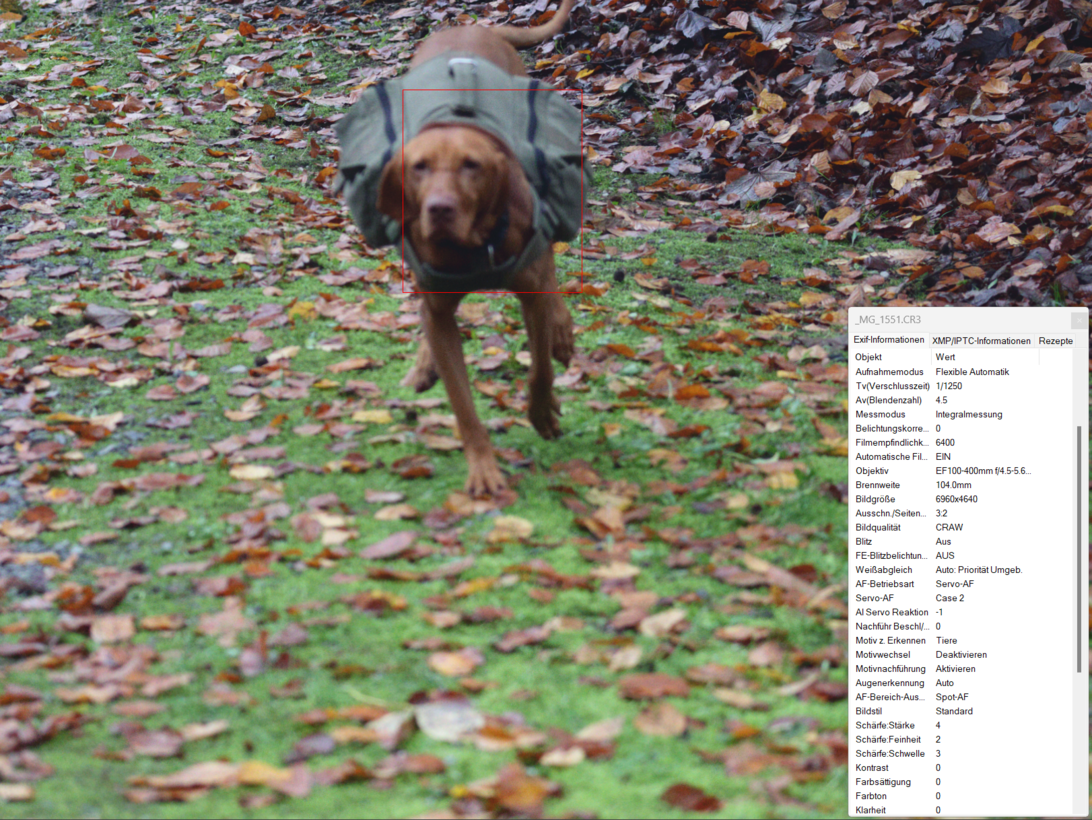 Screenshot 2022-11-27 172524.png