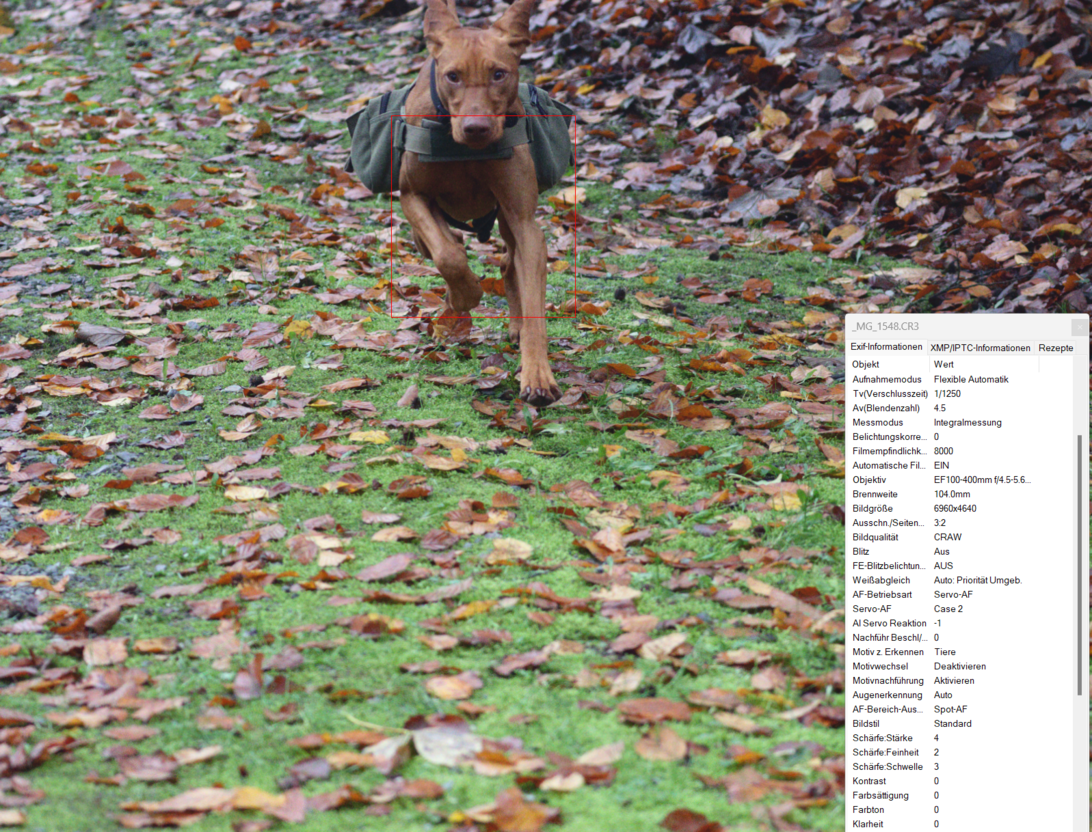 Screenshot 2022-11-27 172659.png