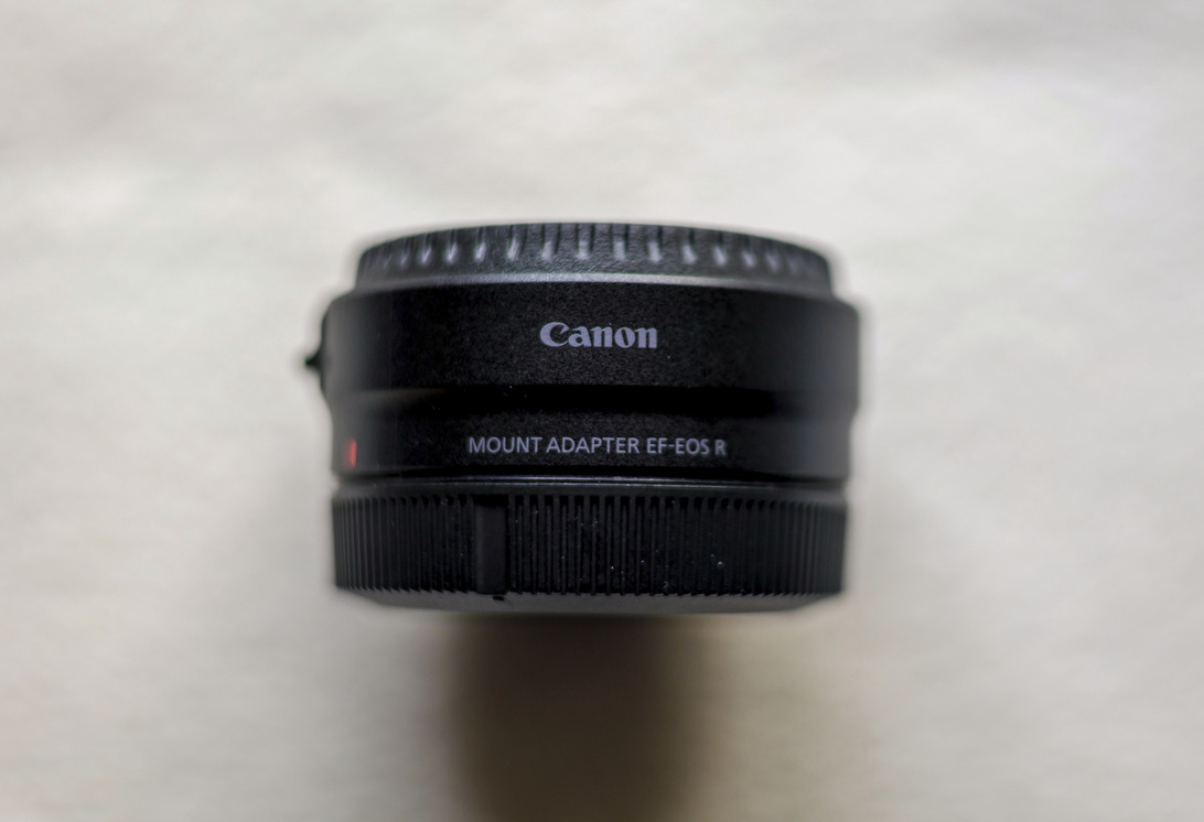 2023EF 100-400mm f_4,4-5,6 L IS II USM005.jpg