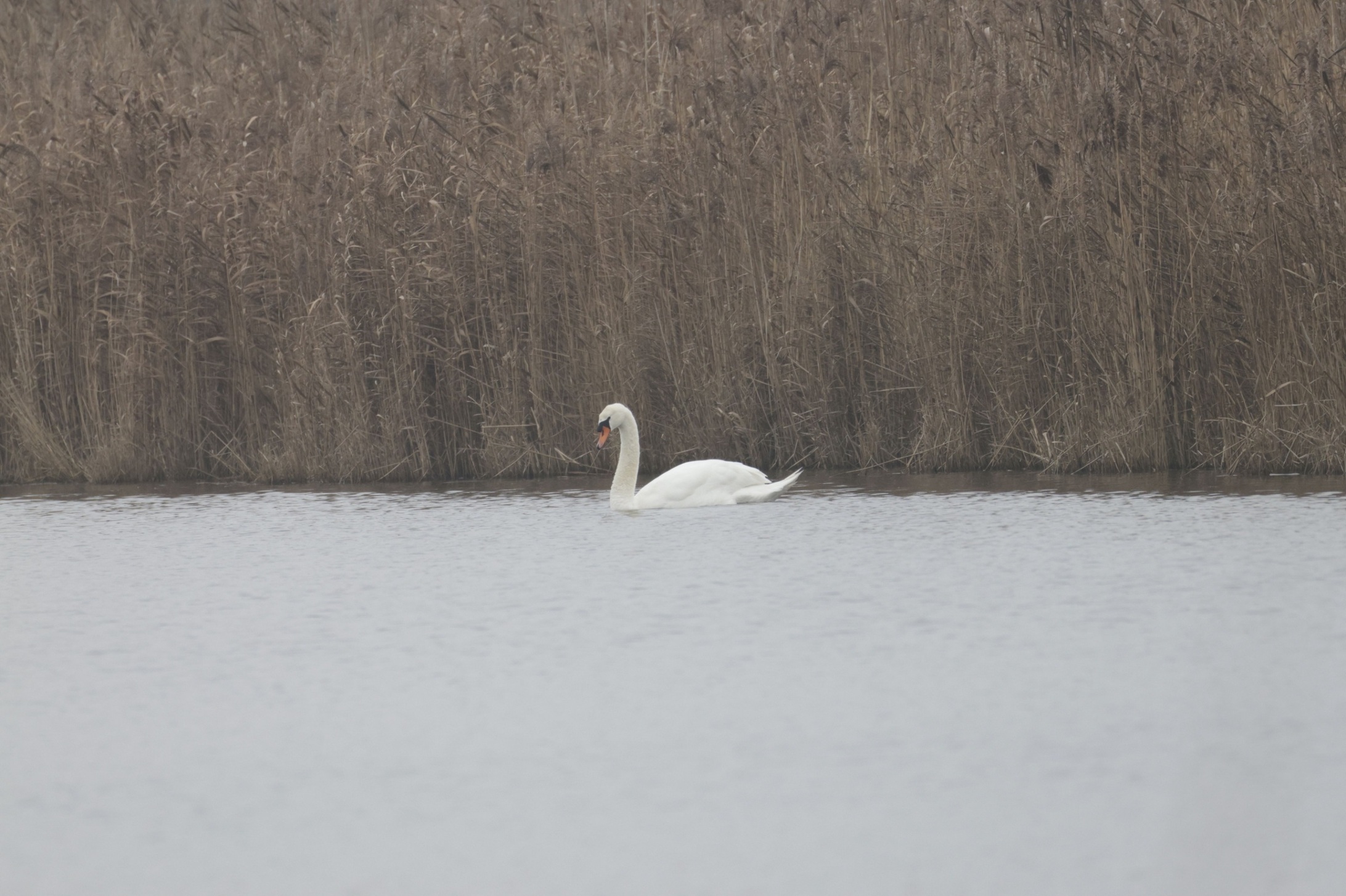 2023_12_159288EOS R7.JPG