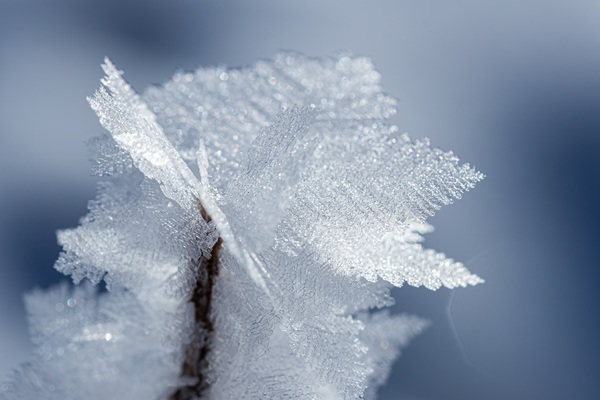 Eiskristalle