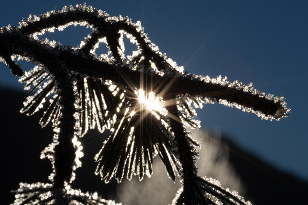 Eiskristalle im Gegenlicht