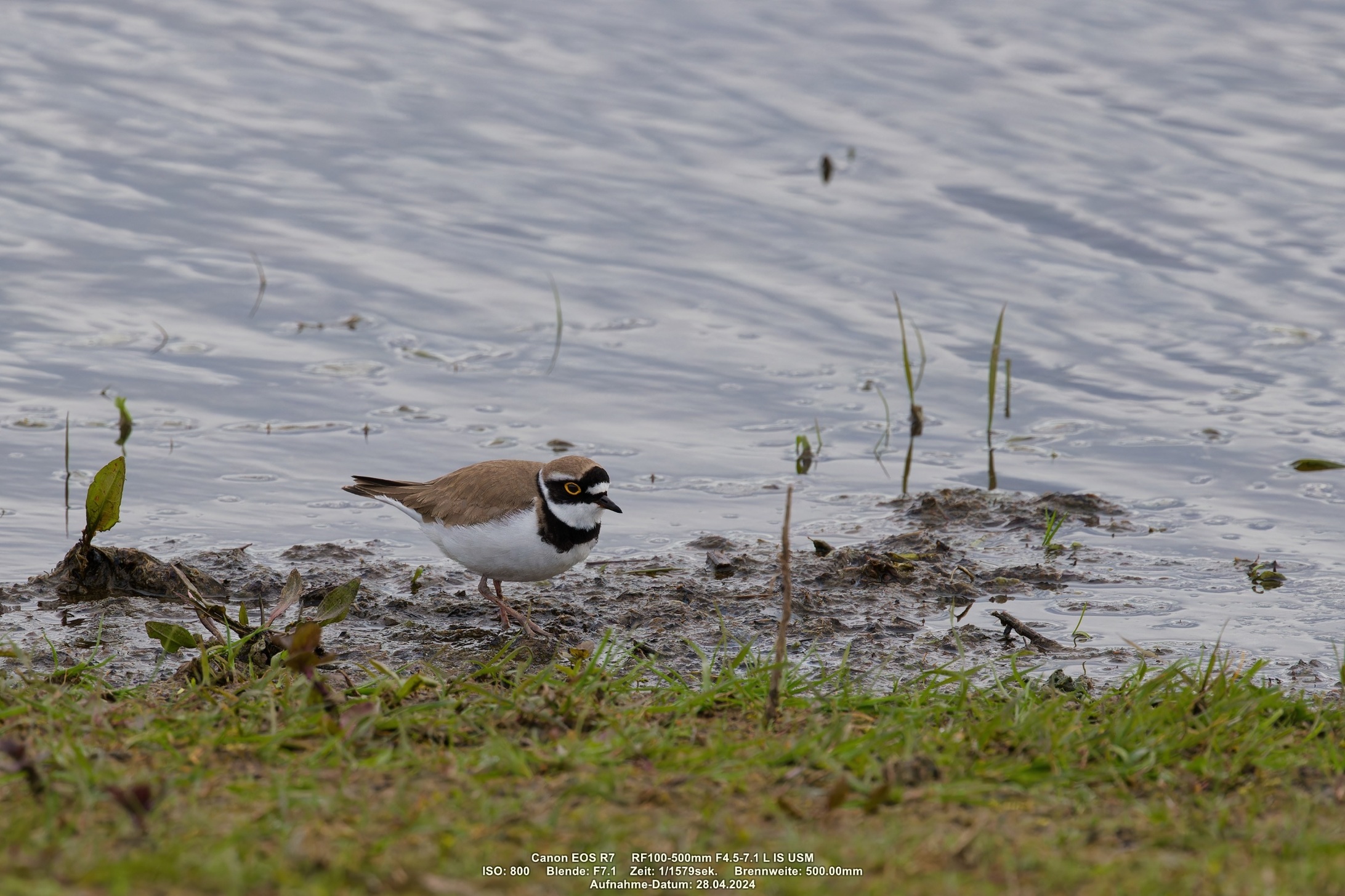 002- Ausgabe DXO.jpg