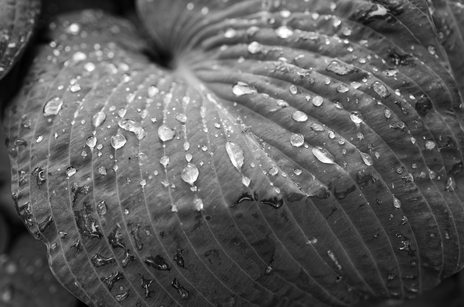 SK__0046_DxO.jpg