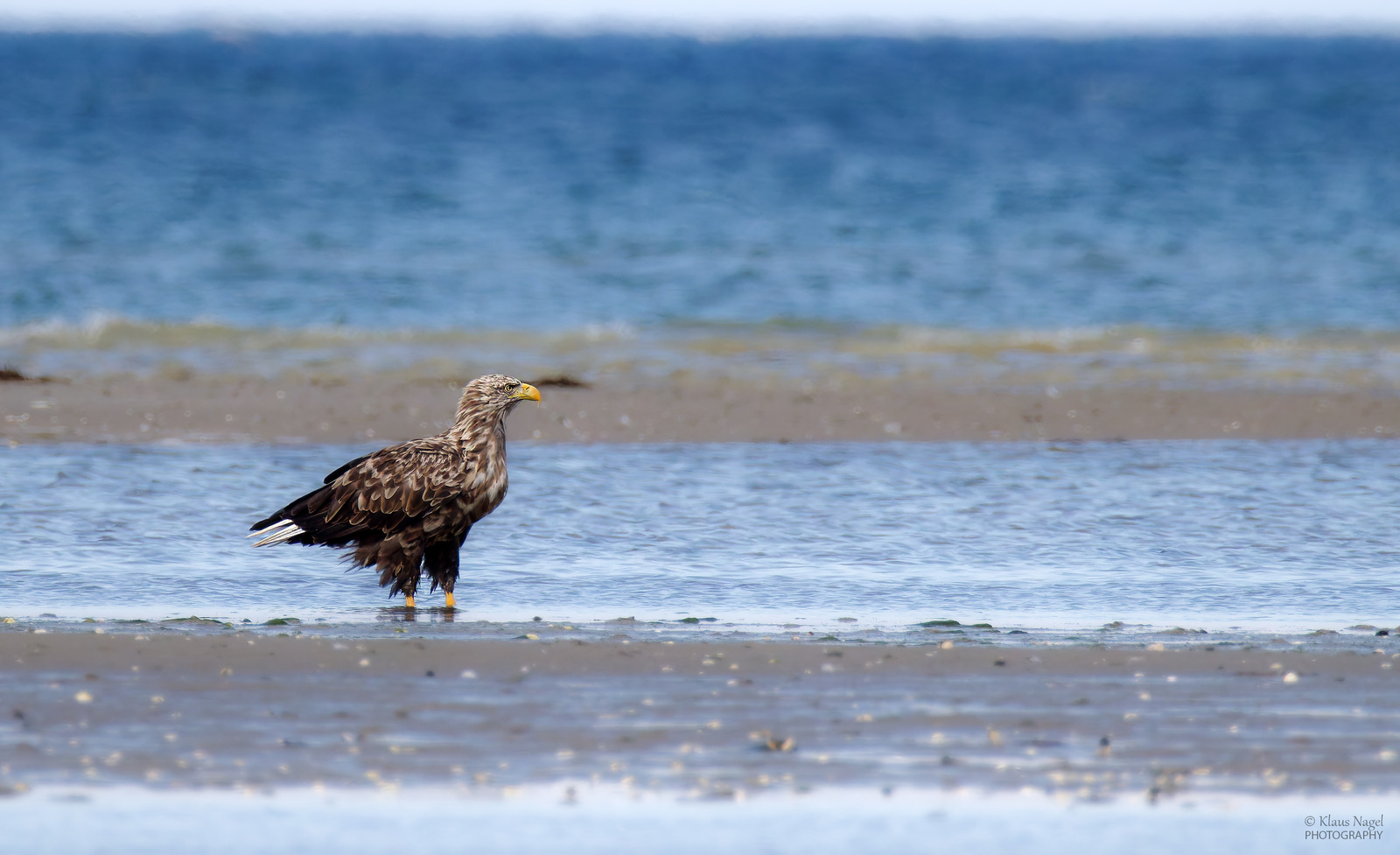 Dänemark September 2025