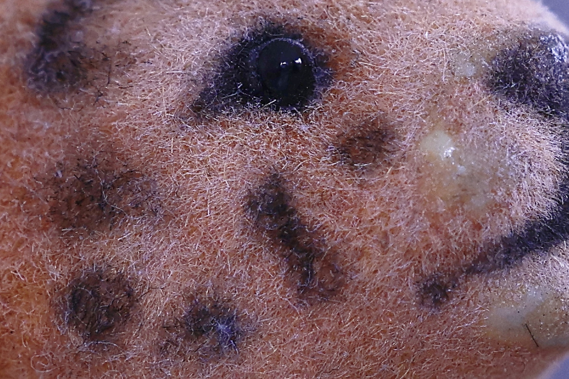 6B2A8089Leo 6.4Leo 6.4.jpg